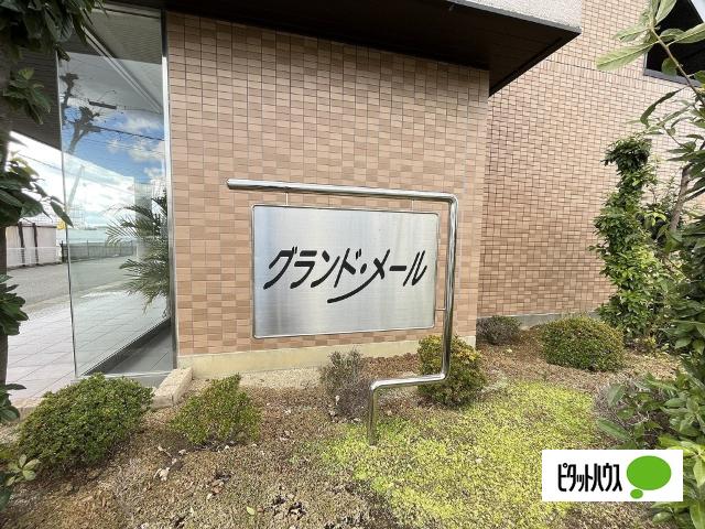 グランド・メール（401） その他