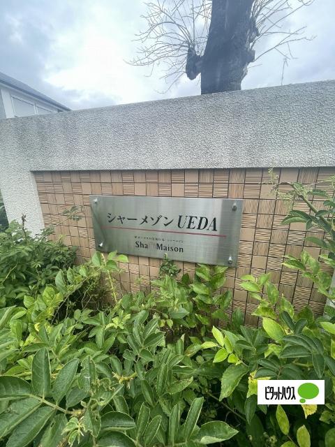 シャーメゾンUEDA（101） その他