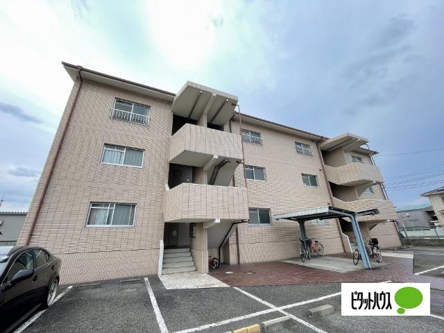 グリーンリーフ（302） その他