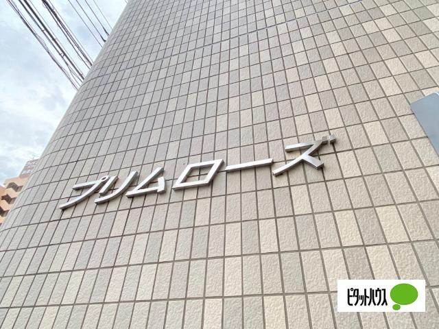 プリムローズ（702） 外観