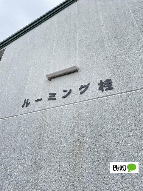 ルーミング桂（2-D） その他