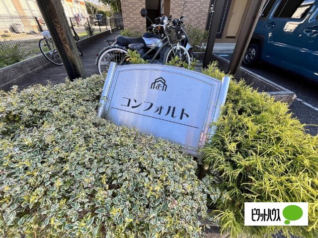 コンフォルト（202） その他