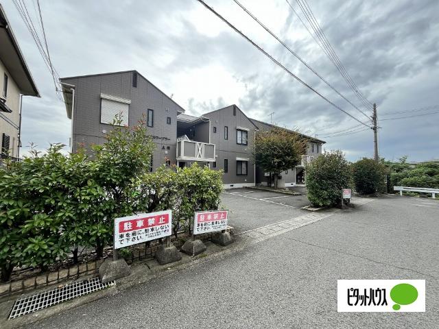 ディアスワーブラー（103） その他