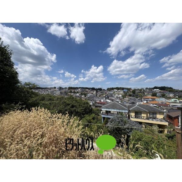 更地