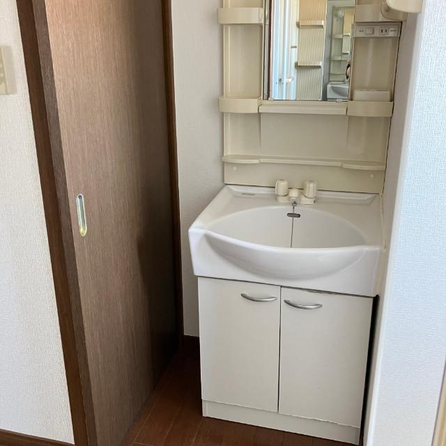 ファインガーデン光陽（305） 洗面
