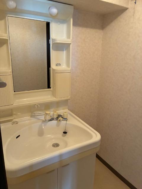 根塚町ビル（303） 洗面