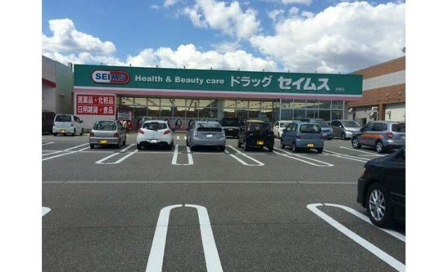 ドラッグセイムス羽根店：1253m