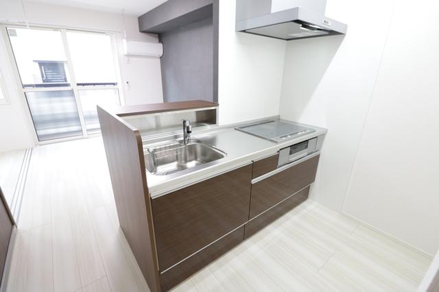 D-room ANNEX21（102） キッチン