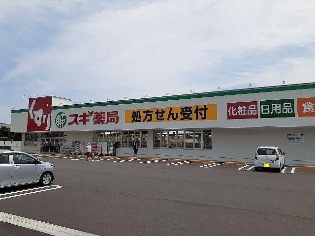 スギ薬局　南富山店：800m