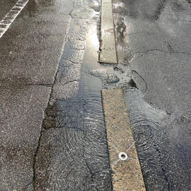 花見橋ハイツ（702） 物件画像