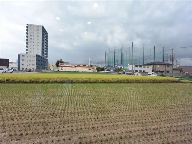 サン・ステージ掛尾　Ｃ棟（102） 眺望