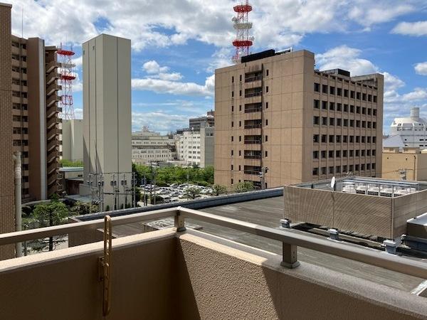 アパガーデンプレイス富山東田地方一号館 眺望