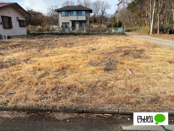 日当たりも良いです