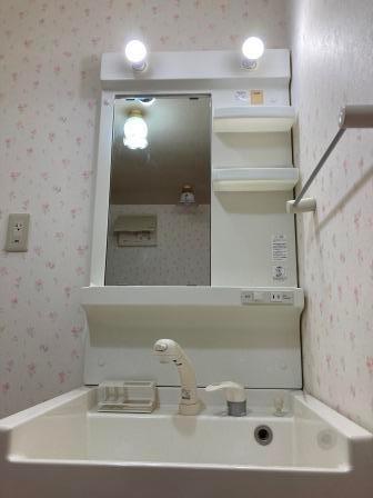 下谷ビル 洗面