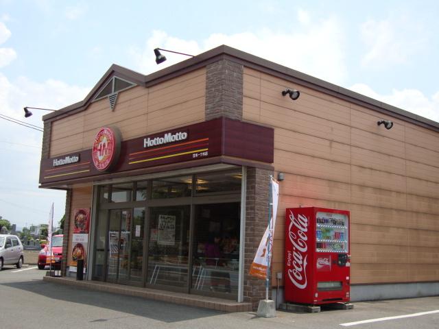 ホットモット：50m