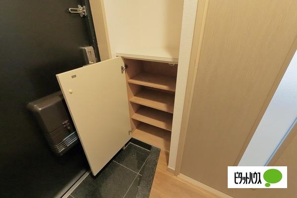 ヴィレドソレイユ（7D） 玄関