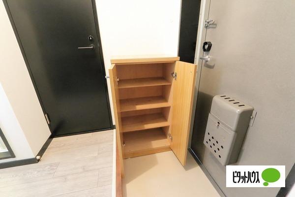 スノーランド城西（201） 玄関