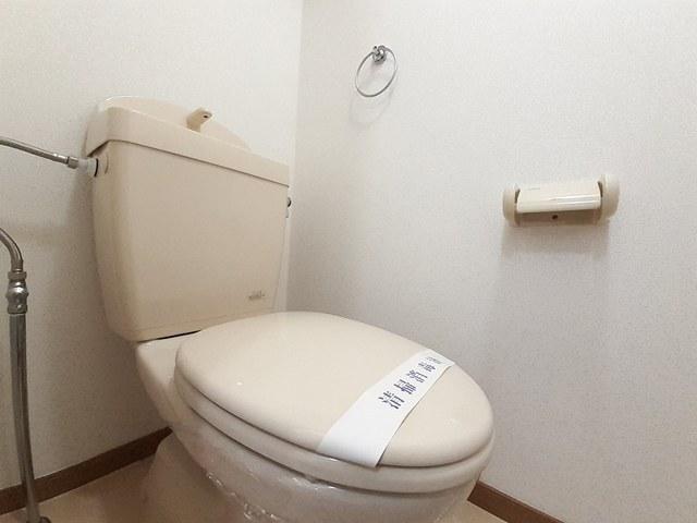 ドミール柏原（103） トイレ