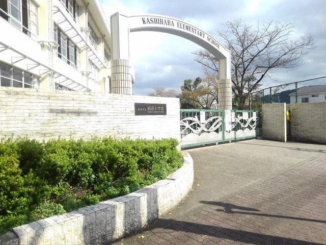 福岡市立　柏原小学校：750m
