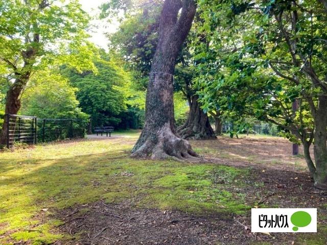 多賀北緑地：719m