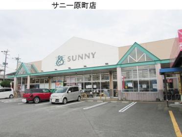 サニー原町店：800m