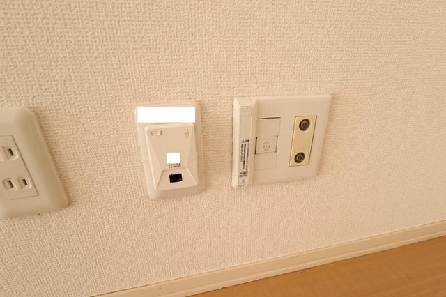 サン　フローラ（202） 部屋画像