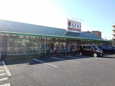 ドラッグストアセキ新善町店：600m