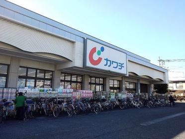 カワチ薬品新田駅前店：1100m