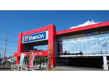 ヤマダ電機行田店：1100m