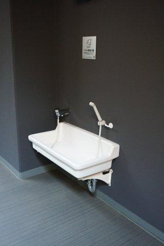 プレミアムレジデンス町屋（503） 部屋画像
