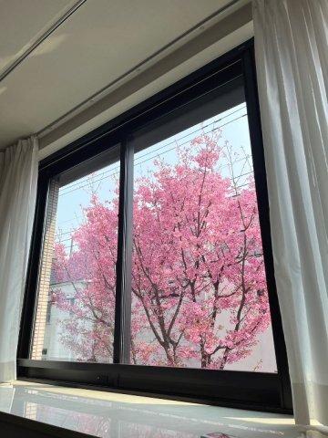 パークホームズ本郷　ザ　レジデンス（203） 部屋画像