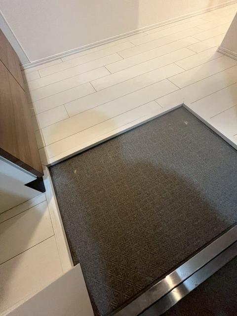 港区白金マンション 玄関