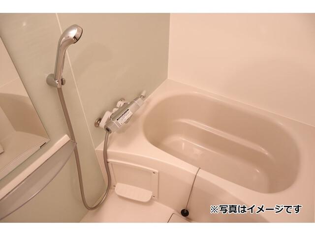 フィオーネ新小岩Ⅱ（301） 室内