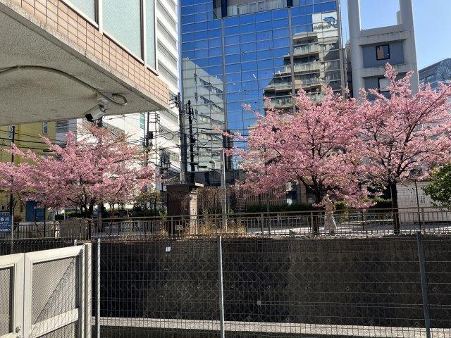 ユニーブル恵比寿 部屋画像