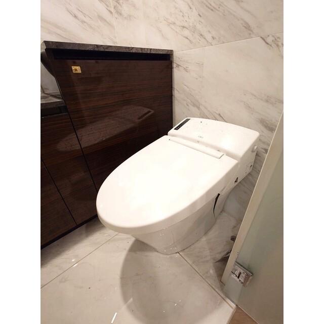 アムス早稲田（旧La Blancheur 早稲田）（0102） トイレ