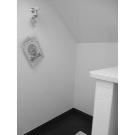 ＲＡＳ旗の台（0202） 部屋画像