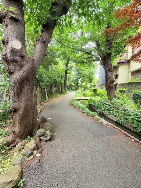 Ｓｏｌａｓｔ　Ｓｑｕａｒｅ綾瀬（601） 周辺環境