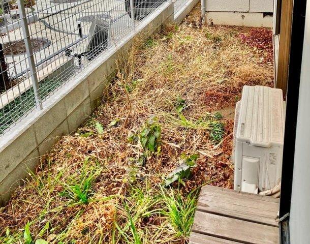 高井戸西戸建（1） 庭