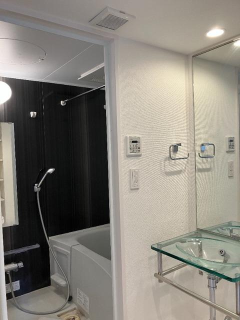 新宿区舟町マンション 洗面