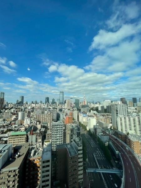 白金ザ・スカイ東棟（E2213） その他