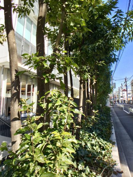 ＳＳ−Ｄ（1002） その他