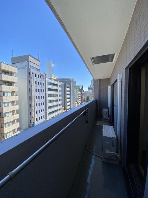 NEO ROOMELIA（802） バルコニー