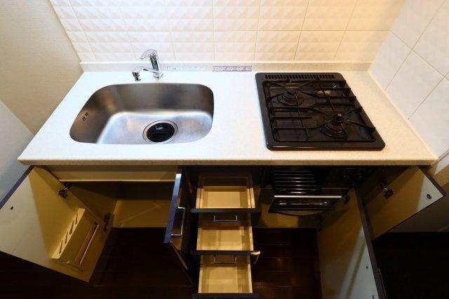 パレステュディオ麹町 部屋画像