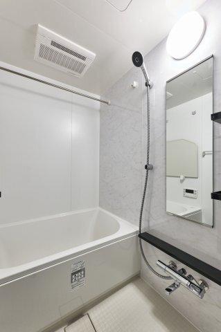 プラウドフラット錦糸町ウエスト（803） 部屋画像