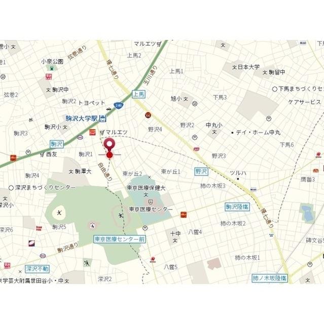 ＺＥＳＴＹ駒沢大学Ⅱ（0106） その他