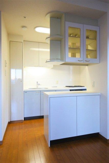 アクティヴュー新宿 キッチン