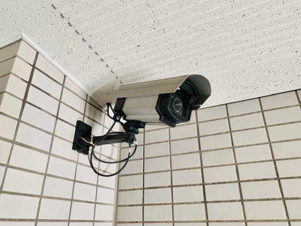 スカイフィールド国立（401） その他
