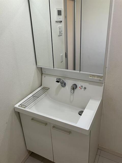 徳丸戸建（1） 洗面