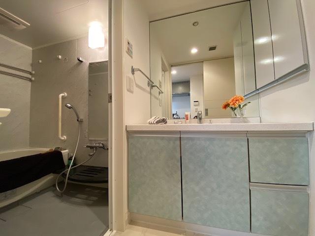 プライムアーバン日本橋横山町（1203） 部屋画像