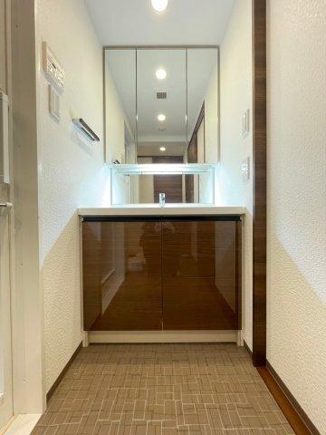 DIPS墨田RIVERSIDE（501） 洗面